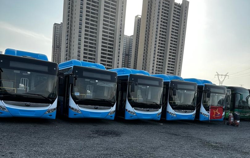 buses