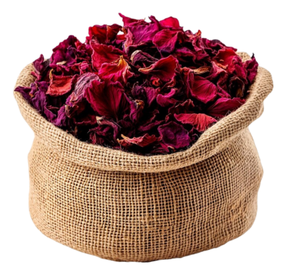 hibiscus 1